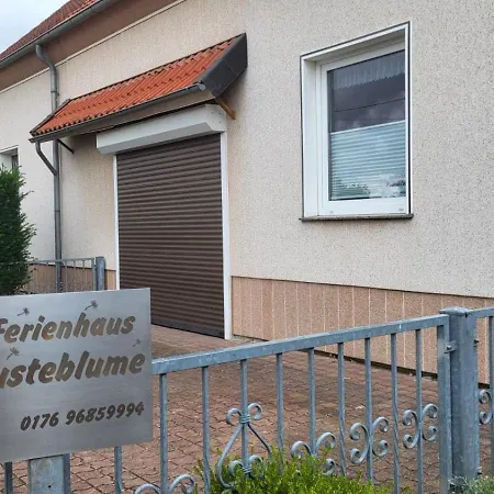 Pusteblume * Halberstadt